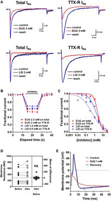 Eugenol and lidocaine inhibit voltage-gated Na+ channels from dorsal root ganglion neurons with different mechanisms
